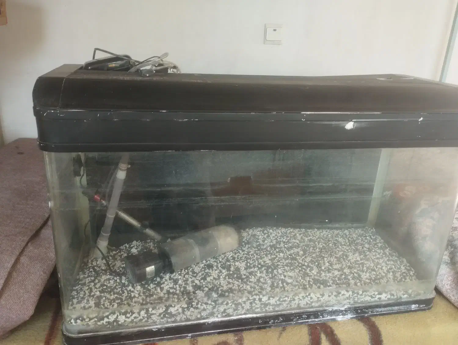 اکواریوم|ماهی|اشتهارد, |دیوار