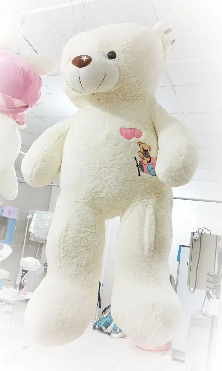 خشکشویی و پتوشویی پرتو|خدمات نظافت|زاهدان, |دیوار