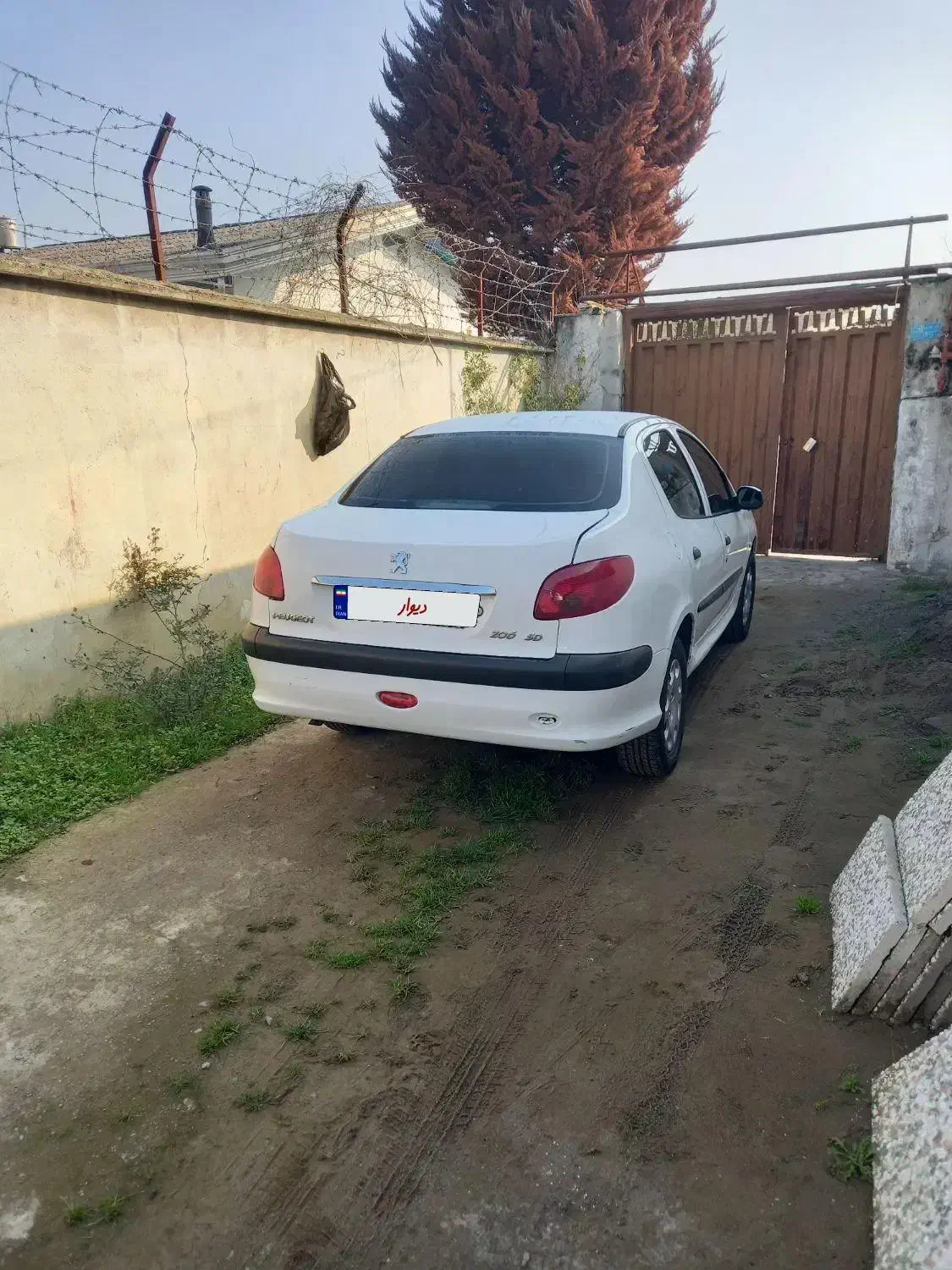 پژو ۲۰۶sd v8 خشک|خودرو سواری و وانت|بابلسر, |دیوار