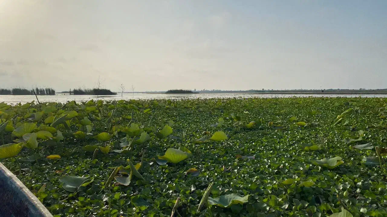 تور گیلان تا قلعه رود خان|تور و چارتر|مشهد, احمدآباد|دیوار