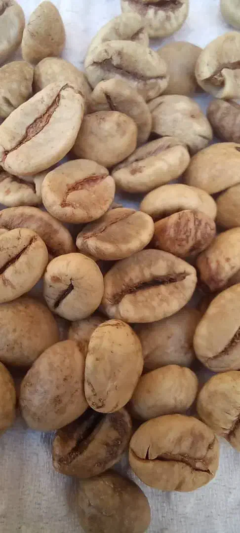 میکس قهوه اتیوپئ 70/30|عمدهفروشی|فردیس, فردیس|دیوار