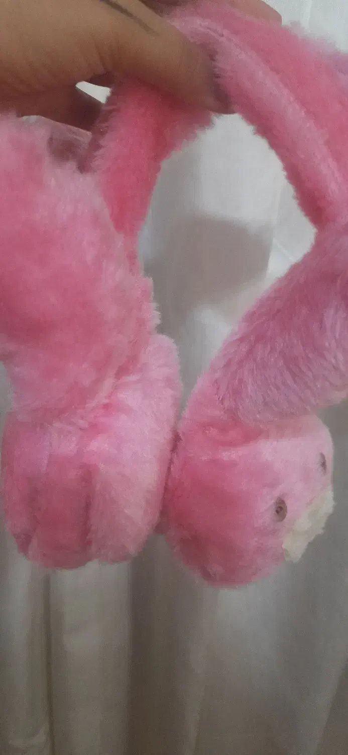 گوشگیر زیبا|صنایع دستی و سایر لوازم تزئینی|گلبهار, شهر جدید گلبهار|دیوار