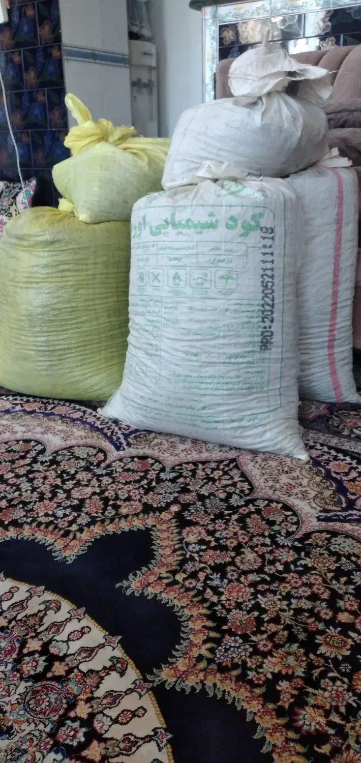 کشمش افتابی|خوردنی و آشامیدنی|ایوان, |دیوار