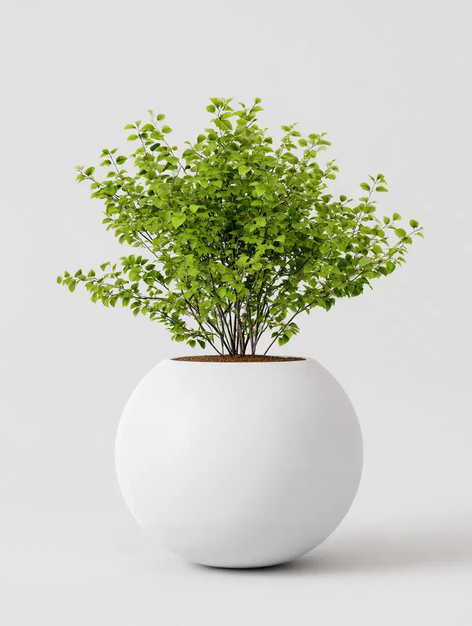 گلدان فایبرگلاس دکوراتیو بزرگ|گل و گیاه طبیعی|تهران, خاوران|دیوار