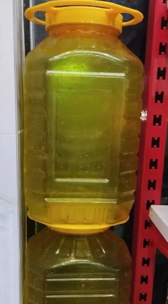 دبه ماست 10کیلویی|ظروف نگهدارنده، پلاستیکی، یک‌بارمصرف|رشت, جهاد|دیوار