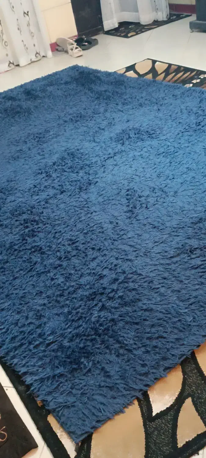 گلیم فرش زیبا|فرش|کرمان, |دیوار