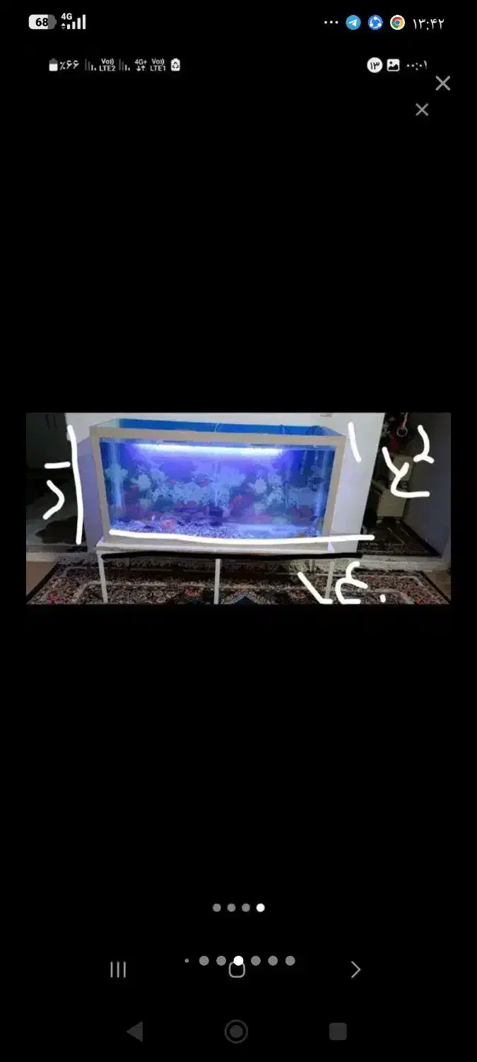 ماهی|ماهی|مشهد, رضاییه|دیوار