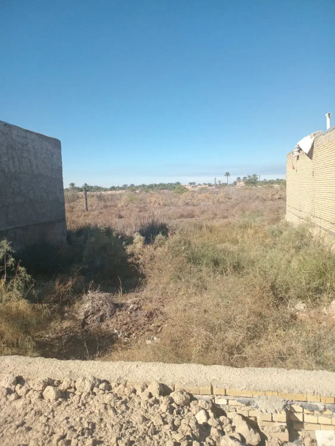 زمین|فروش زمین و ملک کلنگی|خرمشهر, |دیوار