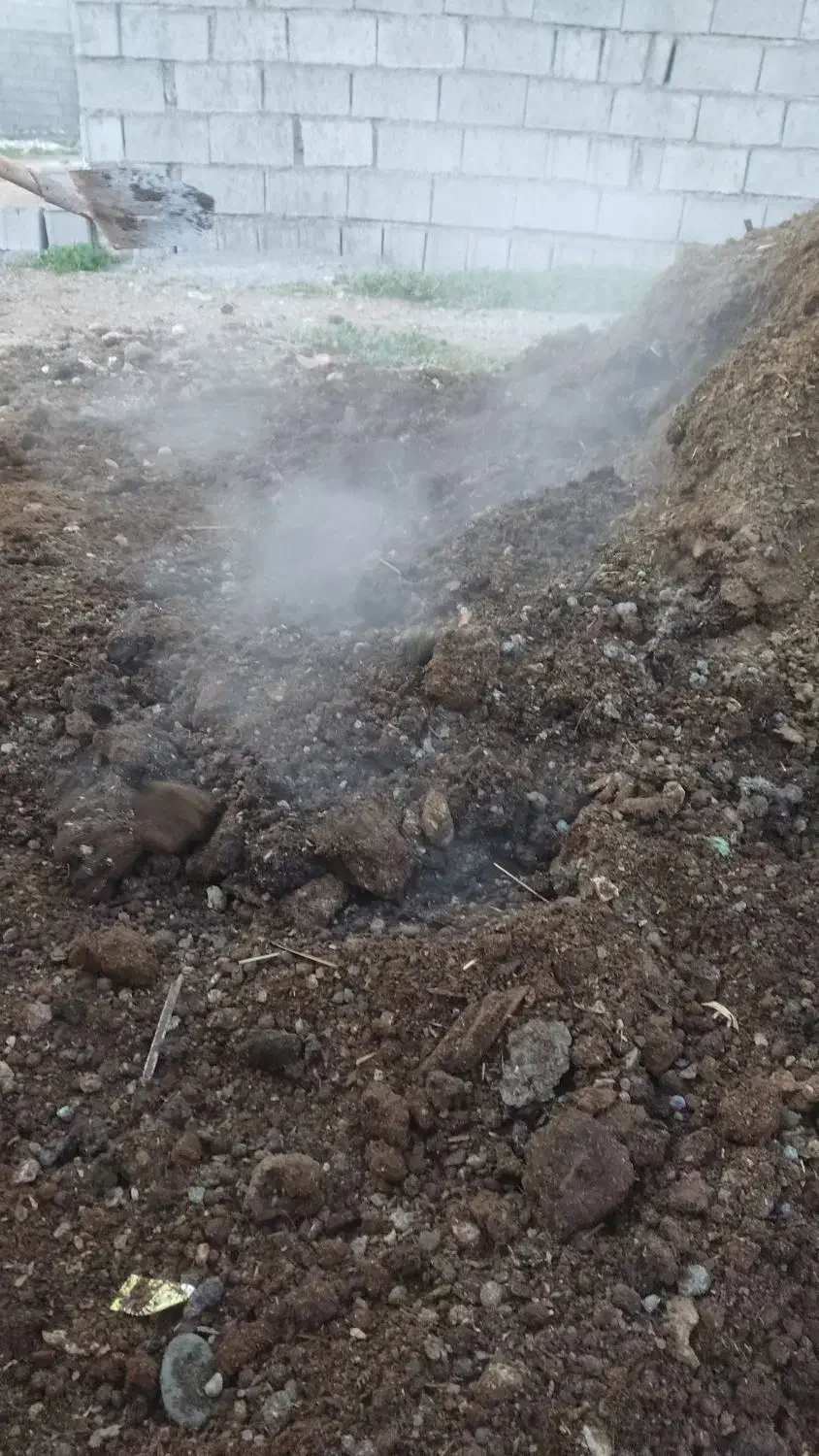 کود حیوانی برای  و درخت کاری|خدمات باغبانی و درختکاری|اندیمشک, |دیوار