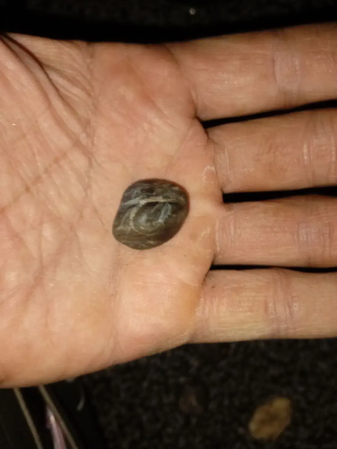 شهاب سنگ و نگین سلطانی اصل|کلکسیون اشیاء عتیقه|شوش, |دیوار