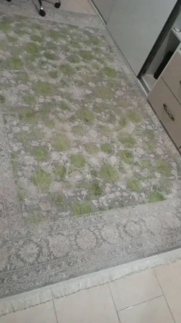 دو عدد فرش|فرش|قرچک, زیبا شهر|دیوار