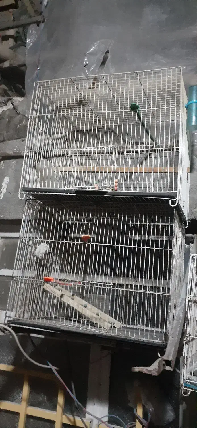 قفس پرنده|لوازم جانبی حیوانات|مشهد, شهید قربانی|دیوار