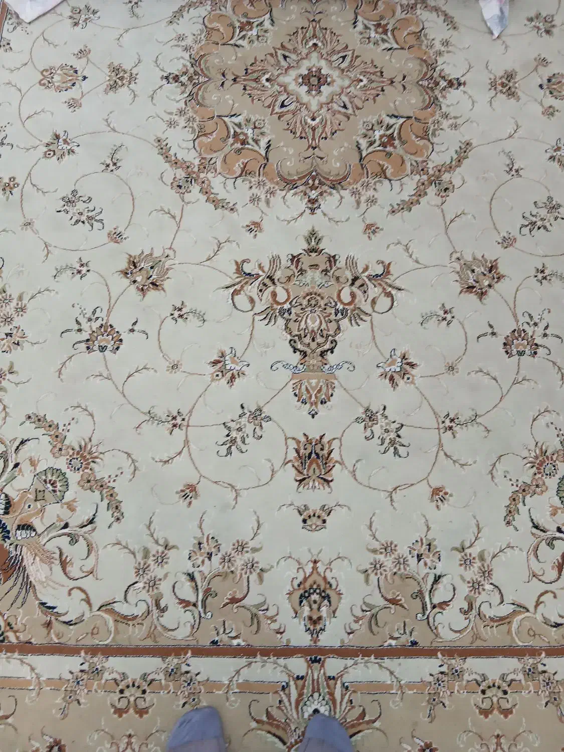 فرش ۹ متری|فرش|رشت, رشتیان|دیوار