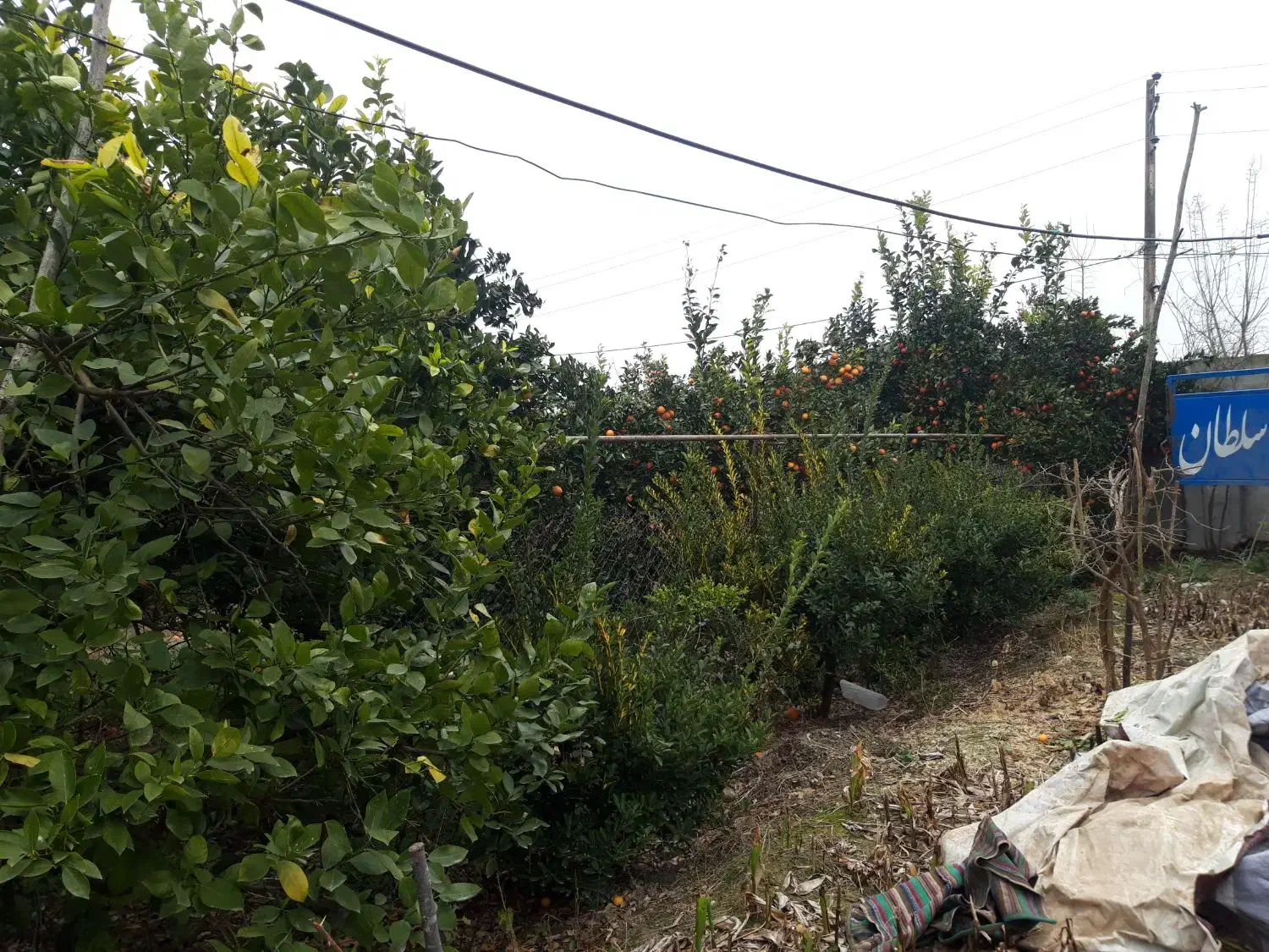 ۲تا ۴ نفر کآرگر ساده میخوام با جای خواب|استخدام معماری، عمران و ساختمانی|جویبار, |دیوار