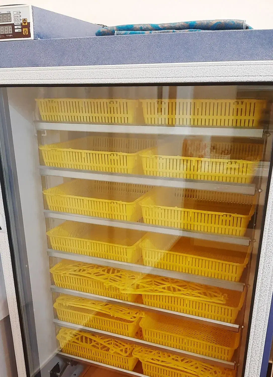 پذیرش تخم نطفه دار شراکتی|حیوانات مزرعه|قائم‌شهر, |دیوار