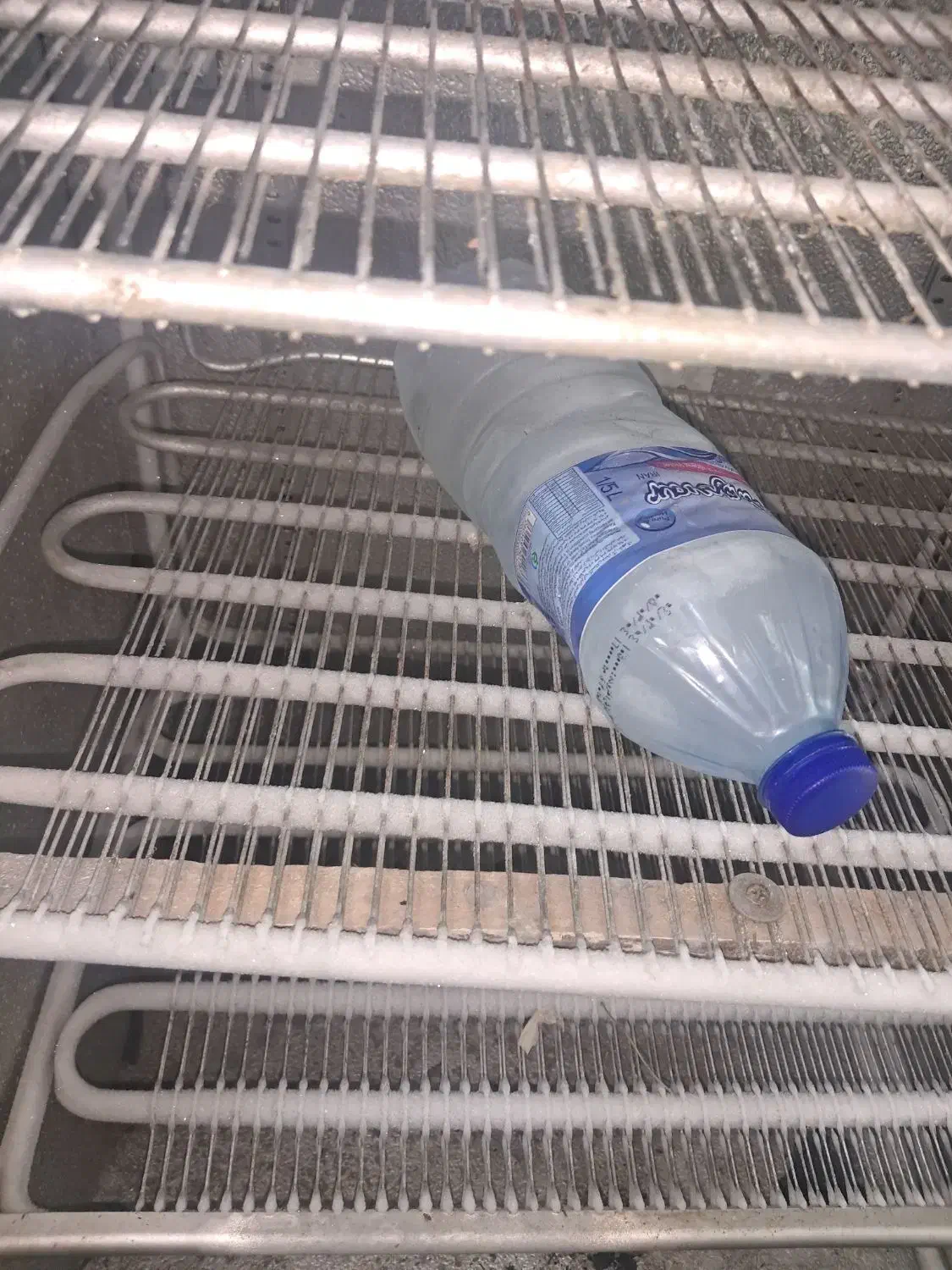 یخچال فریزر|کافیشاپ و رستوران|بهارستان, |دیوار