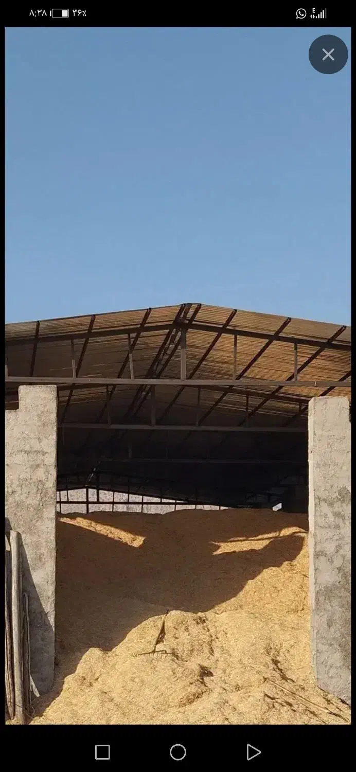 کاه سفید|خدمات باغبانی و درختکاری|ارم, |دیوار