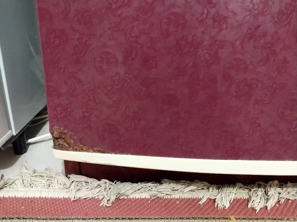 یخچال فریزر|یخچال و فریزر|کرمان, |دیوار