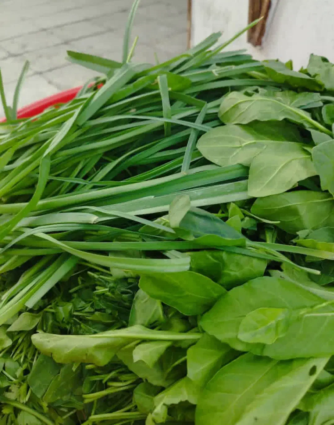 فروش سبزی آبپز خوزستان رامهرمز|خوردنی و آشامیدنی|رامهرمز, |دیوار