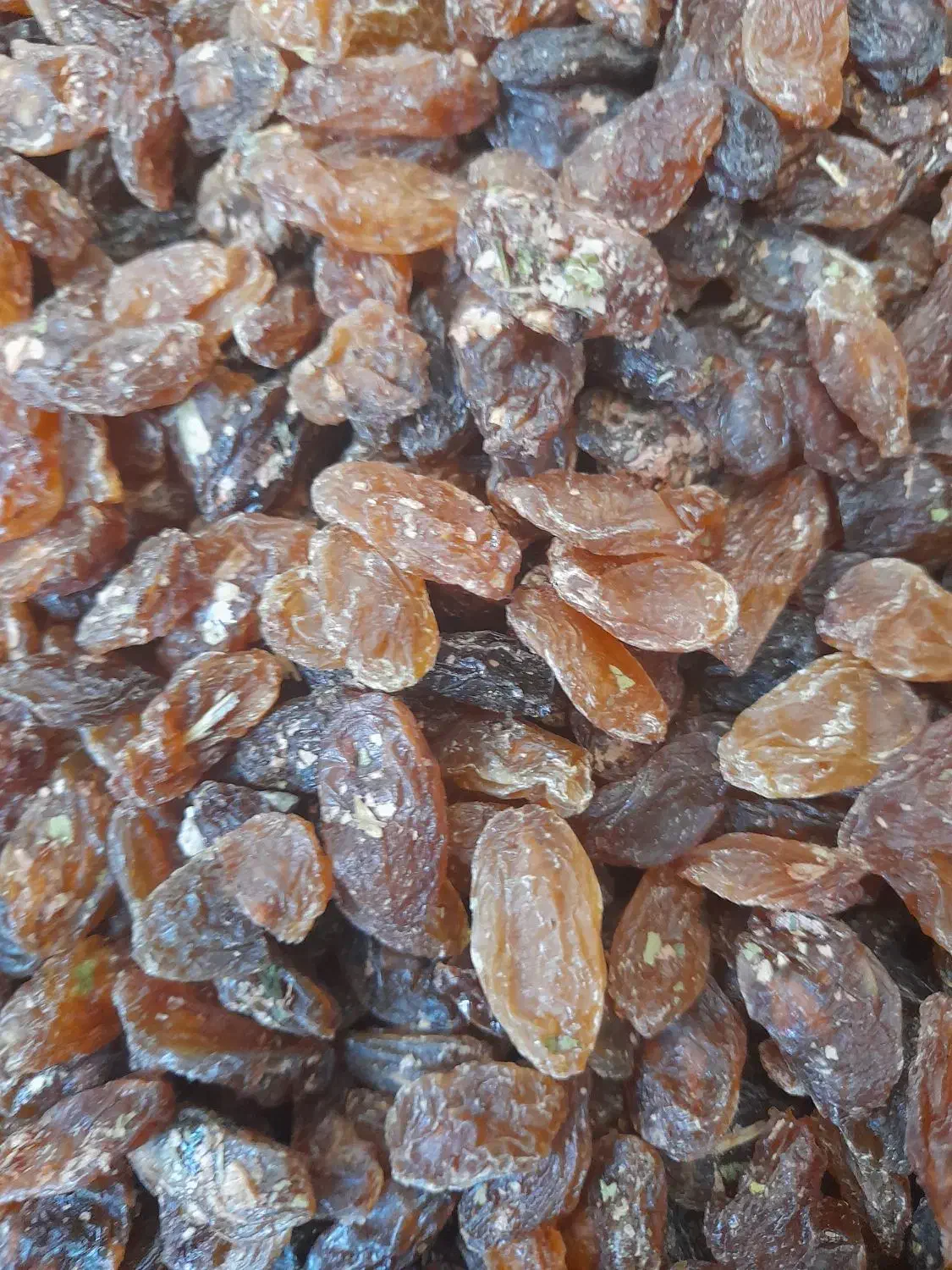 مرکز پخش کشمش آشی خرده فروشی به قیمت عمده|خوردنی و آشامیدنی|نجفآباد, شریعتی غربی|دیوار