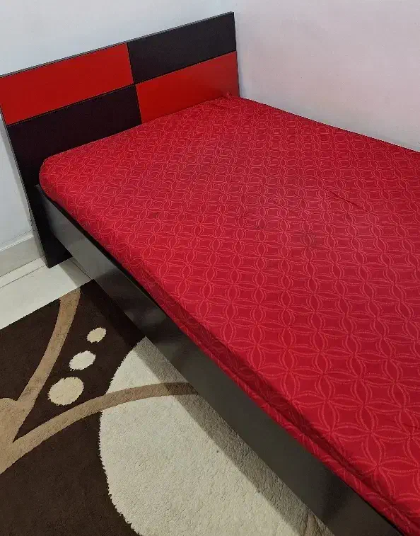 تخت یکنفره|تخت و سرویس خواب|رشت, حمیدیان|دیوار