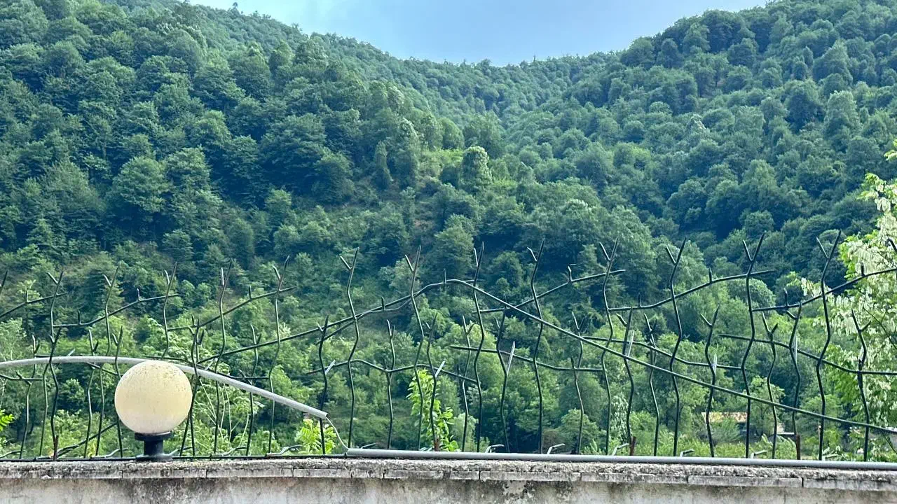 خونه ویلایی جنگلی شفت ،*behnamvila*|فروش خانه و ویلا|احمدسرگوراب, |دیوار