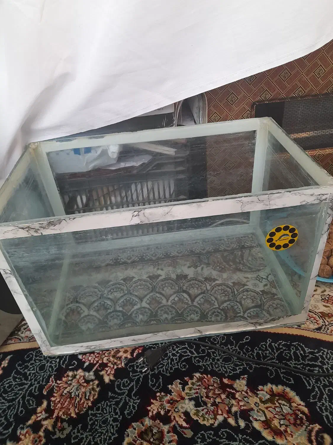 آکواریوم|ماهی|شیروان (خراسان), |دیوار