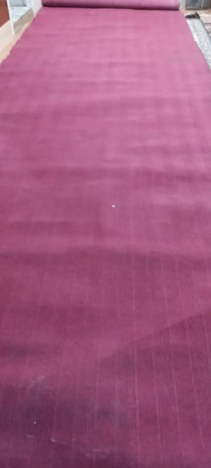 موکت|موکت|رفسنجان, |دیوار