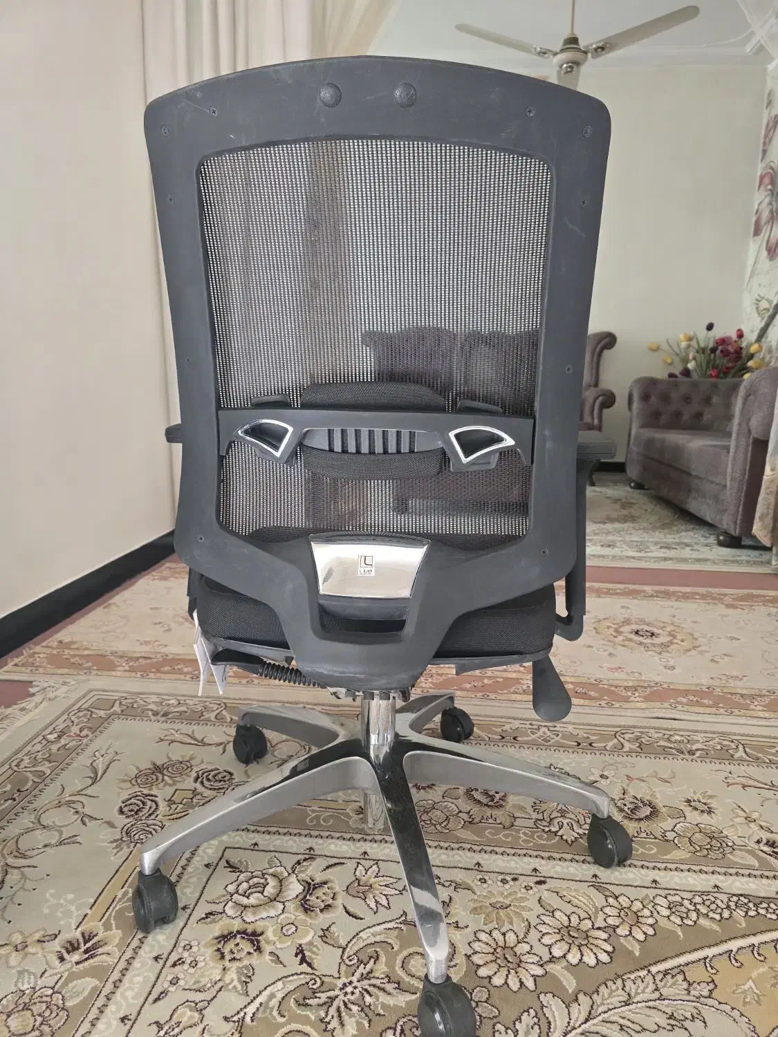 صندلی لیو|مبلمان اداری|اهواز, فرهنگ شهر|دیوار