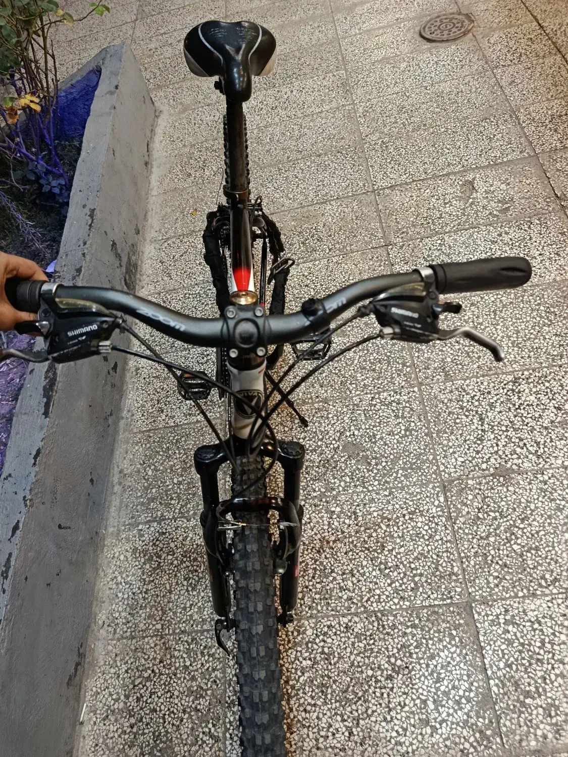 دوچرخه ویوا ورتکس|دوچرخه، اسکیت، اسکوتر|مشهد, چهارچشمه|دیوار