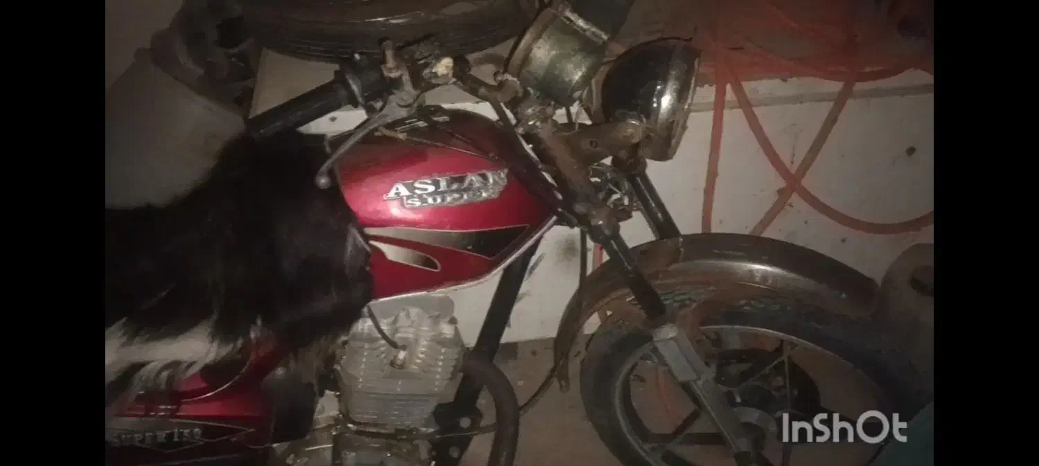 متور|موتورسیکلت|گمیشان, |دیوار