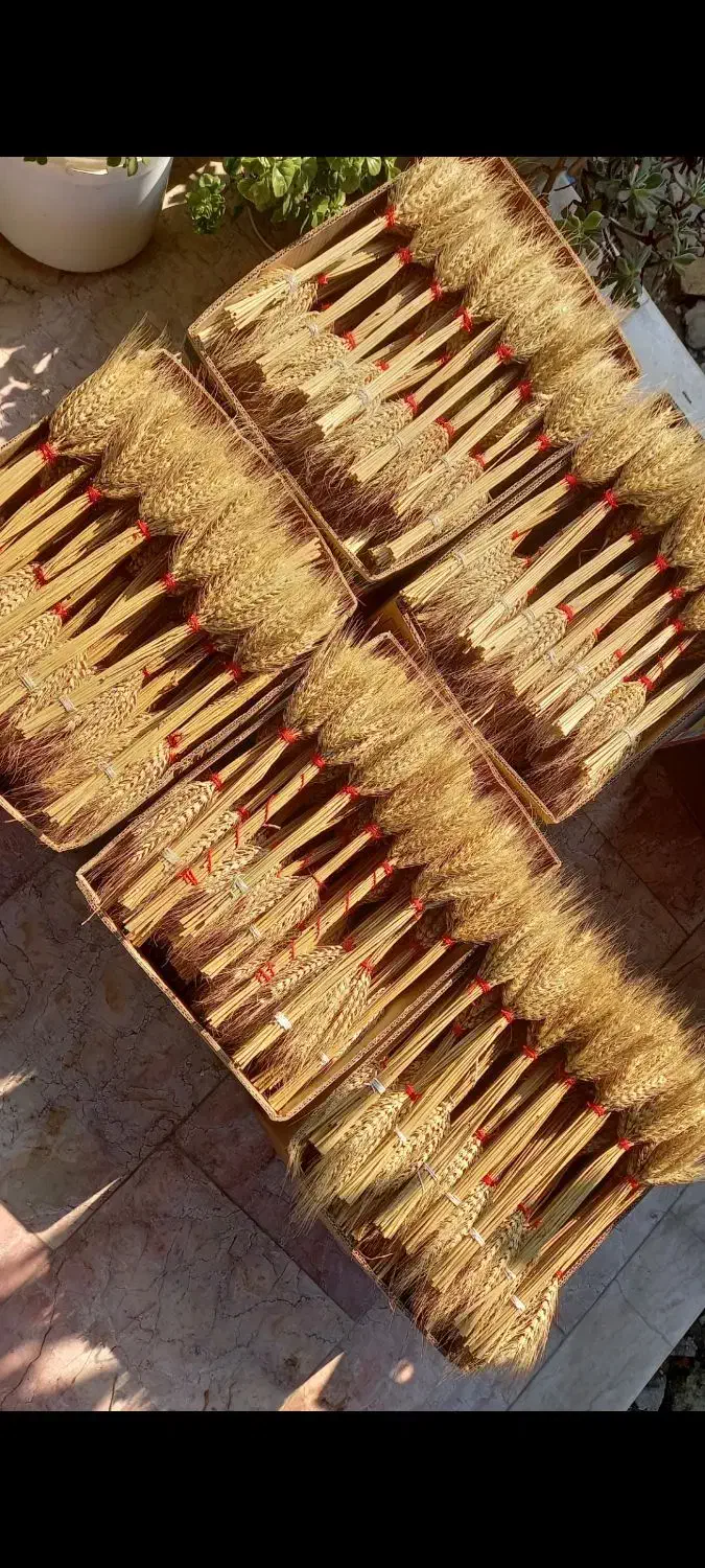 دسته خوشه گندم|صنایع دستی و سایر لوازم تزئینی|جویبار, |دیوار