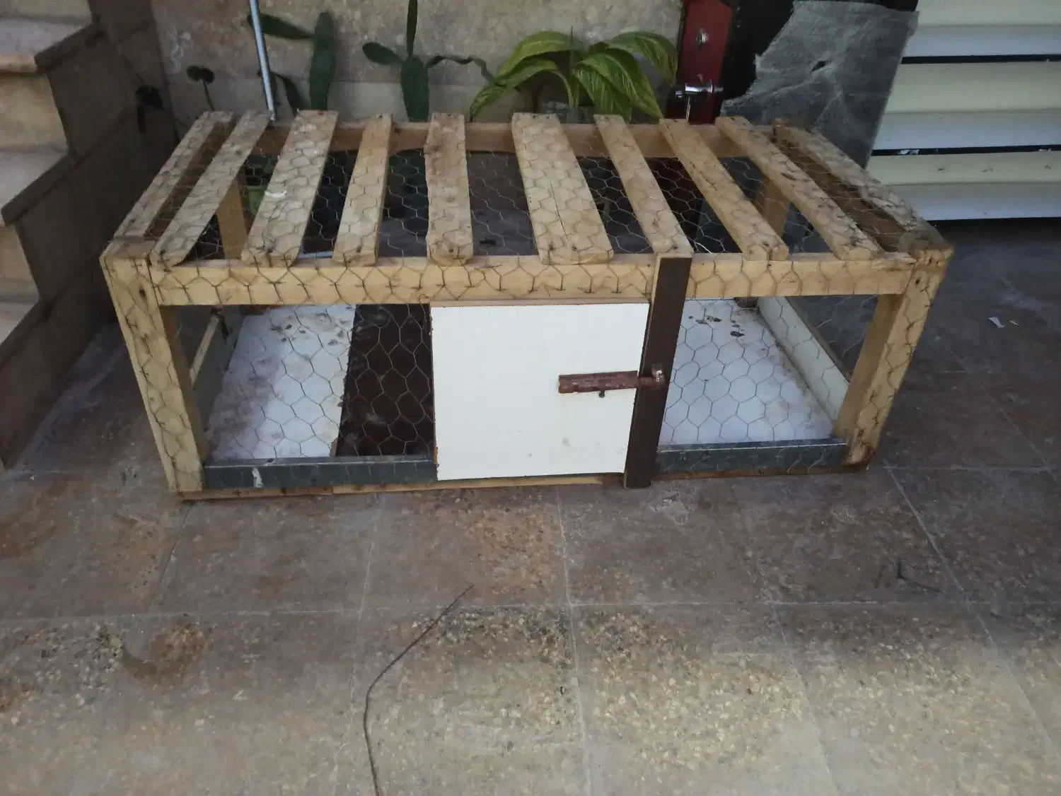 قفس|لوازم جانبی حیوانات|خرم‌آباد, |دیوار