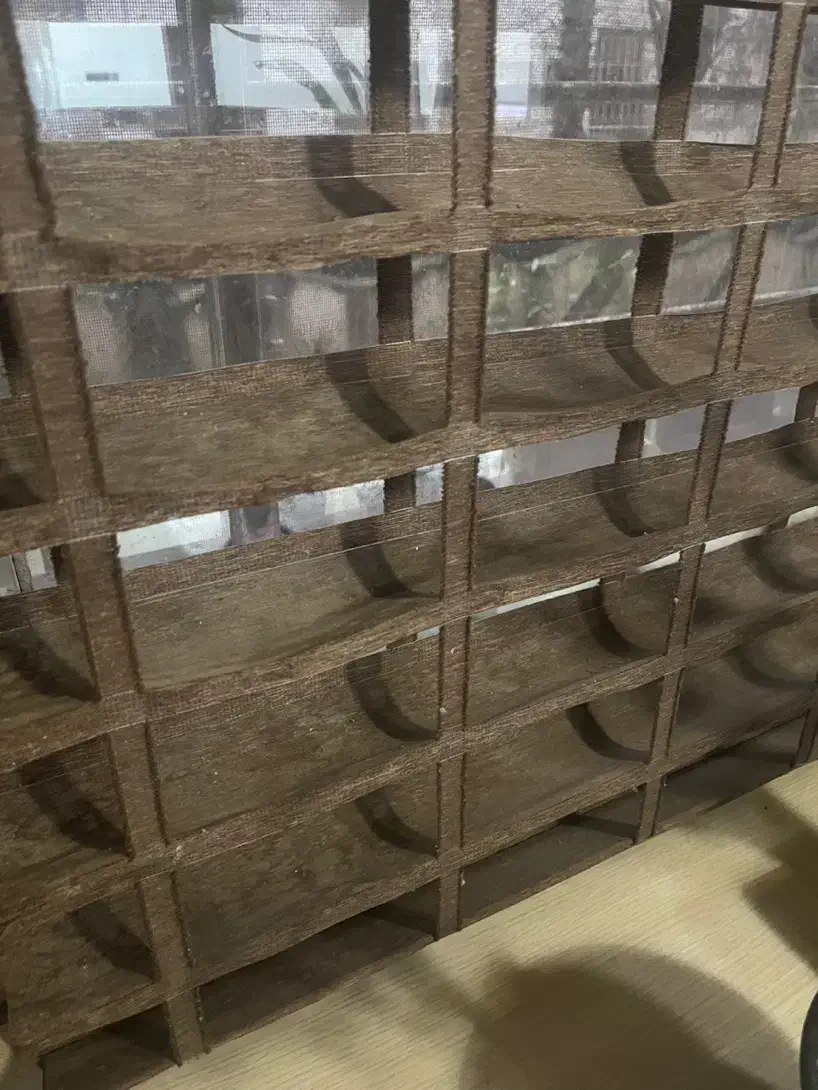 پرده|پرده، رانر، رومیزی|رشت, کاکتوس|دیوار