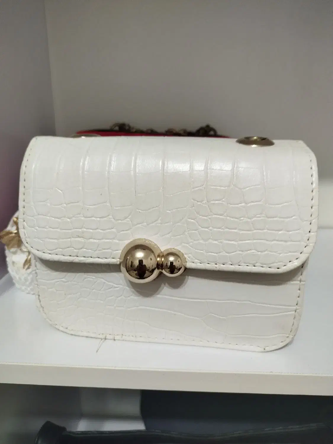 کیف|کیف، کفش، کمربند|تربت‌حیدریه, باغ سلطانی|دیوار