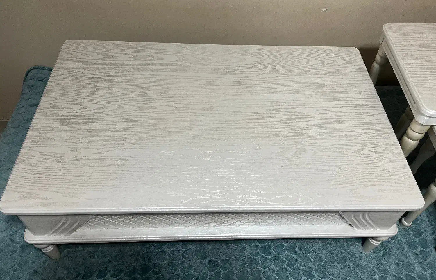 میز جلو مبلی|مبلمان خانگی و میز عسلی|رشت, کاکتوس|دیوار