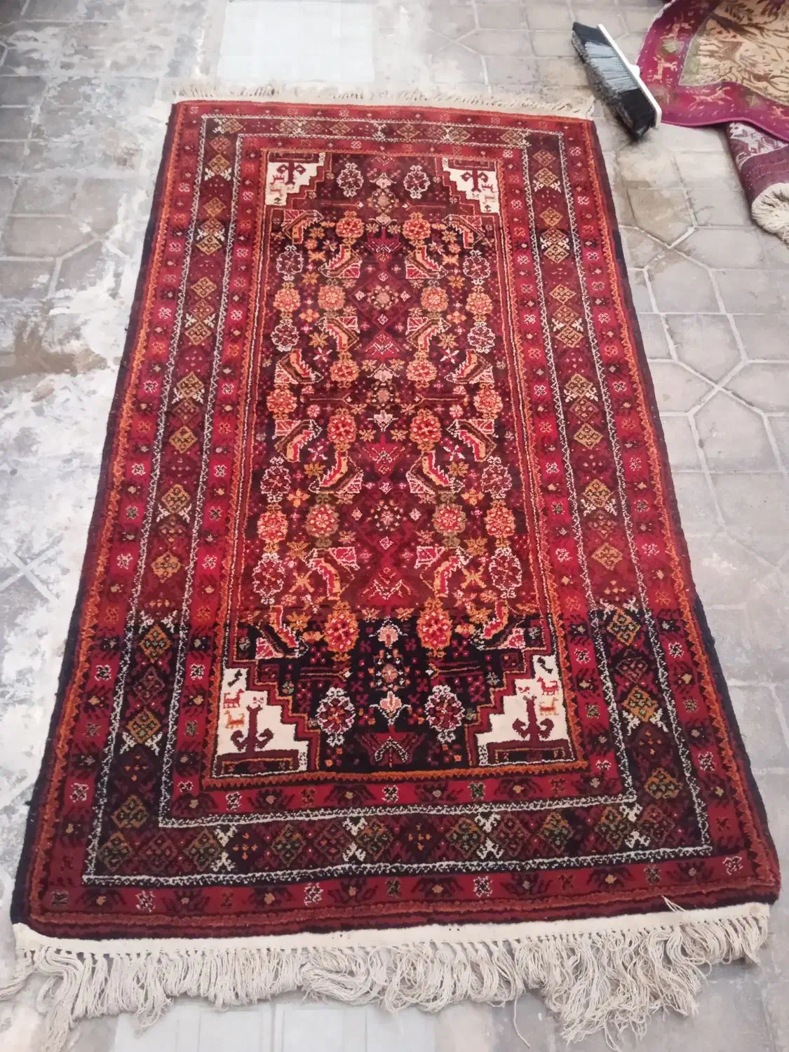 تعدادی فرش دستباف|فرش|بوشهر, |دیوار