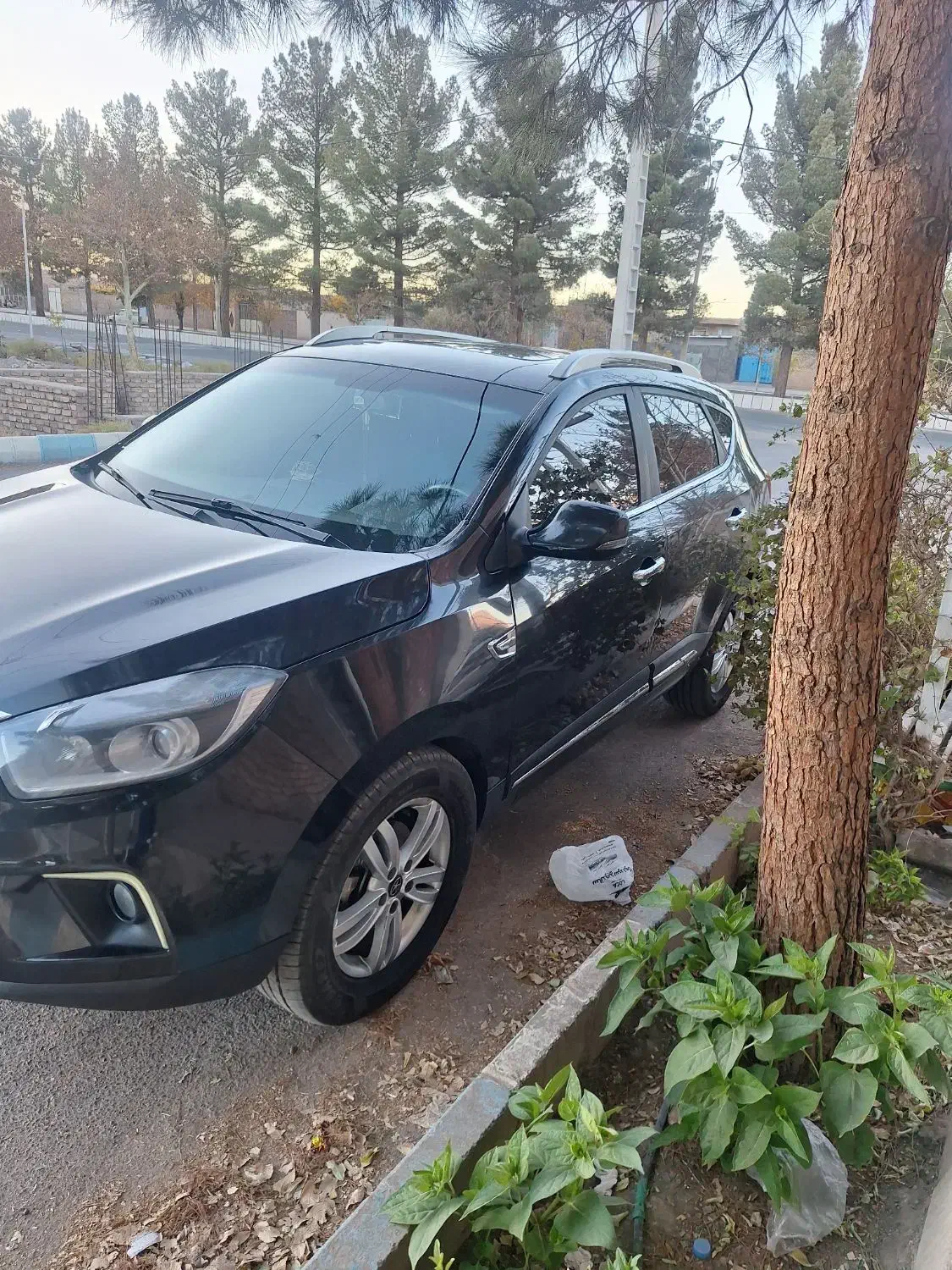 فروش|خودرو سواری و وانت|راین, |دیوار