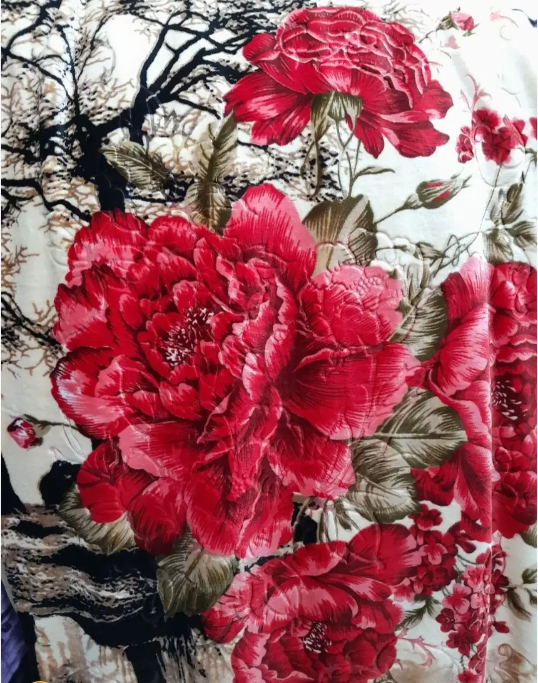 پخش پتو|رختخواب، بالش، پتو|هشتگرد, شهرک راه آهن|دیوار