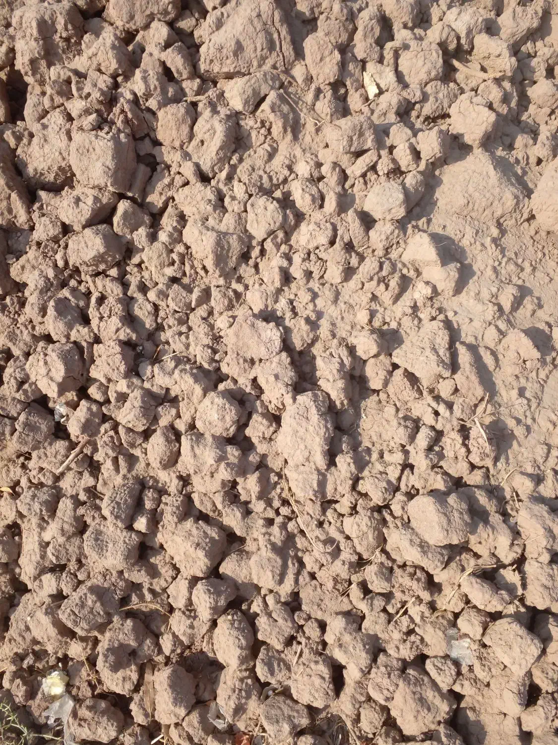 کاهگل آماده باضمانت|خدمات پیشه و مهارت|رفسنجان, |دیوار