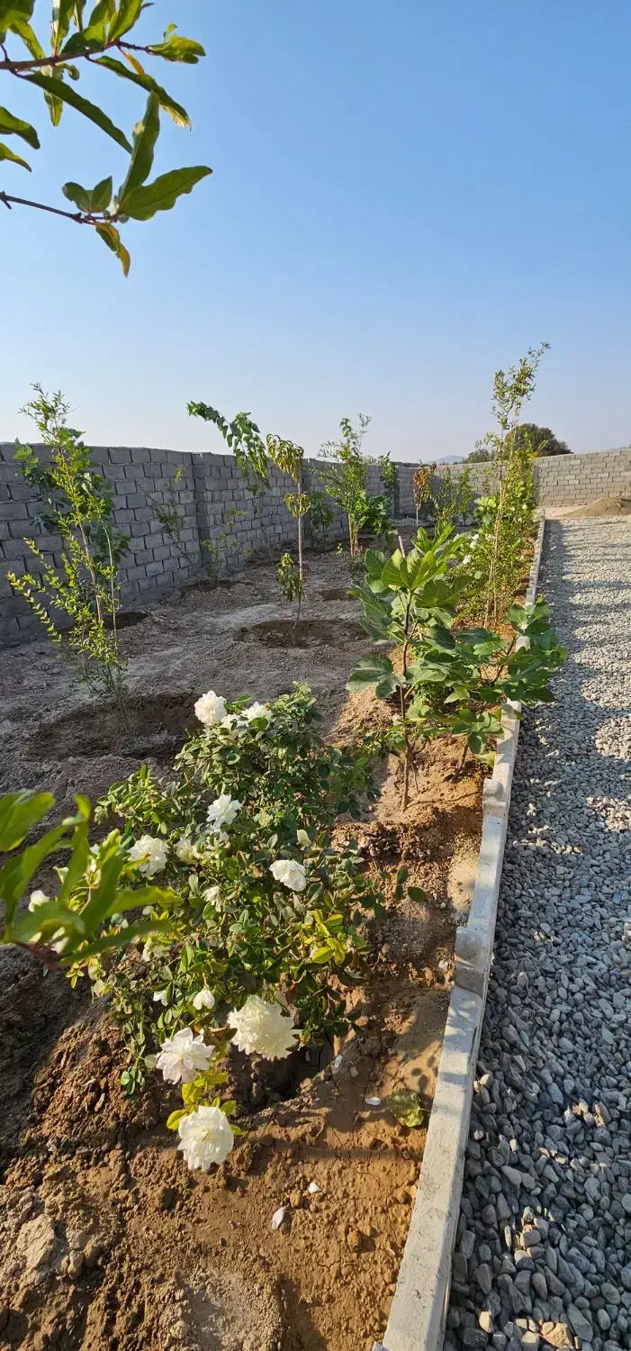 باغچه نقلی زیبا چهار دیواری ۲۰۰متر|فروش زمین و ملک کلنگی|تهران, یافت آباد جنوبی|دیوار