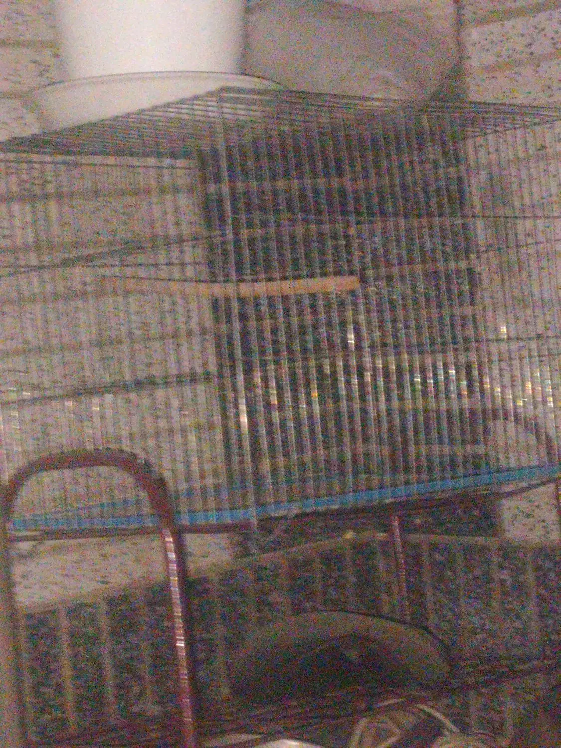 قفس پرنده|لوازم جانبی حیوانات|شاهین‌شهر, نظامی|دیوار