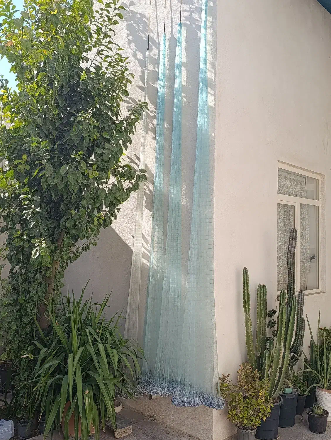 سالیک|ماهیگیری|دهلران, |دیوار