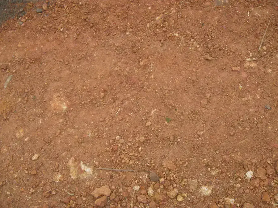 زمین|فروش زمین و ملک کلنگی|اسفرورین, |دیوار