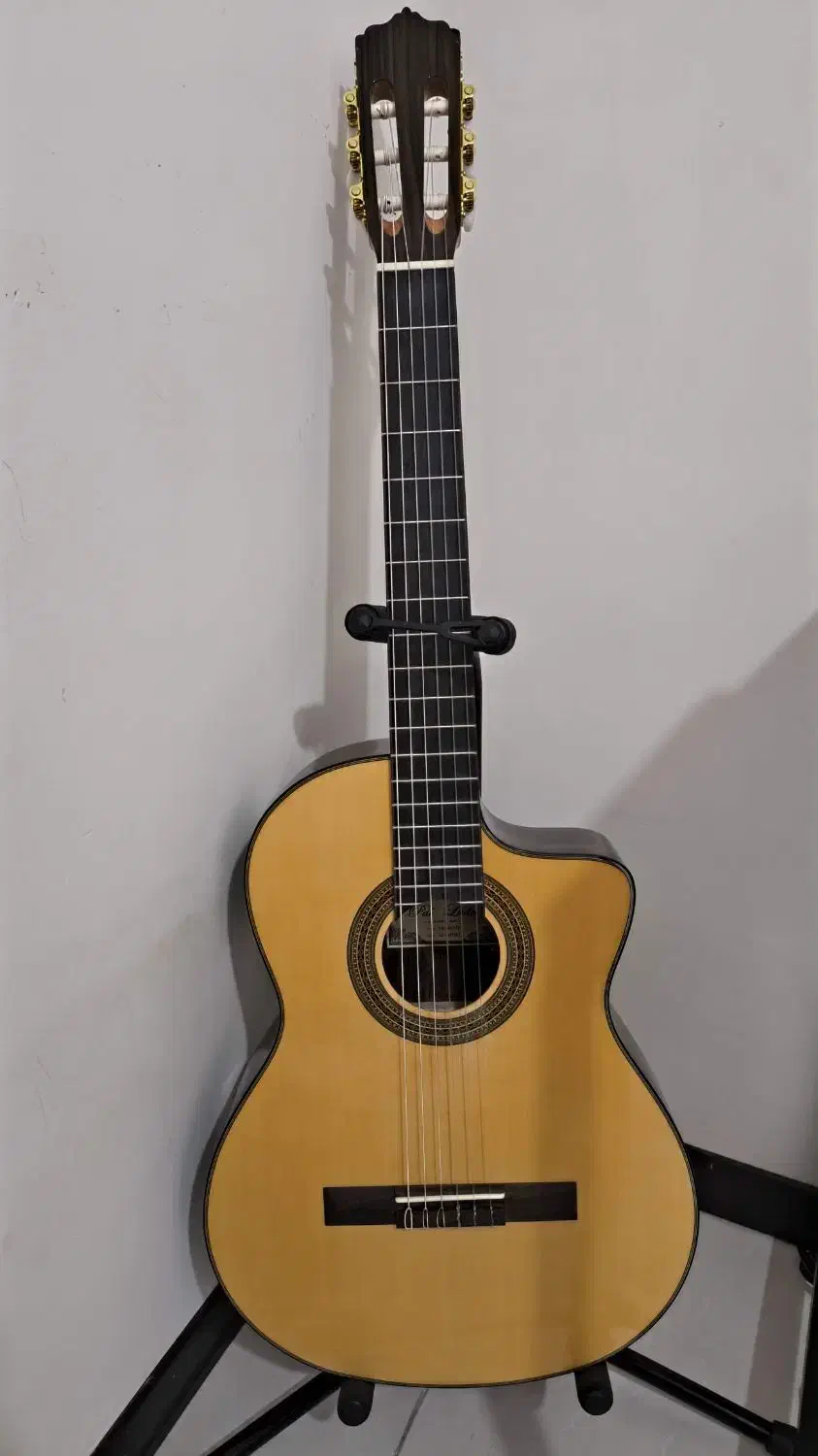 پالادو cg90 کات اوی|گیتار، بیس، امپلیفایر|اندیشه, اندیشه فاز ۱|دیوار