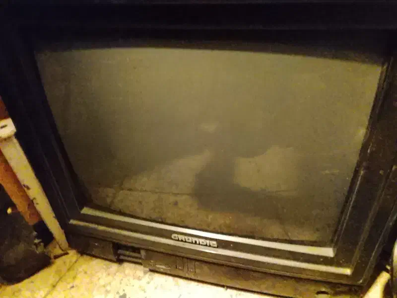 14اینج بفروش می رسد|تلویزیون و پروژکتور|اردبیل, |دیوار