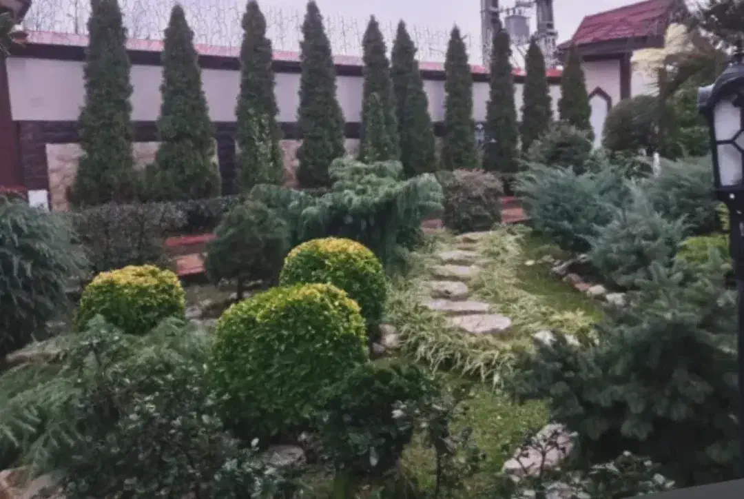 حیاط سازی ونگه داری گل گیاه|خدمات باغبانی و درختکاری|کلارآباد, |دیوار