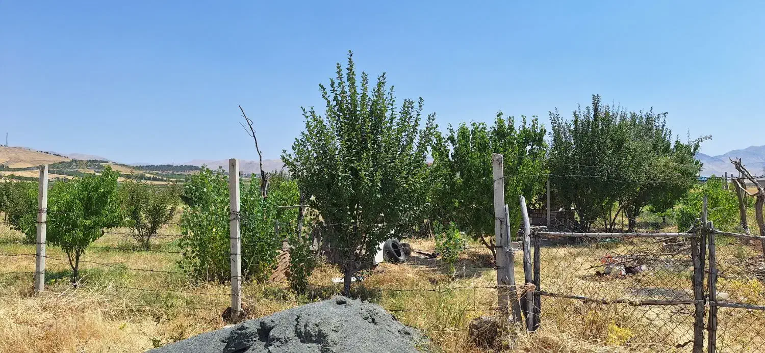 باغ مثمر 6 ساله|فروش زمین و ملک کلنگی|بیلوار, |دیوار