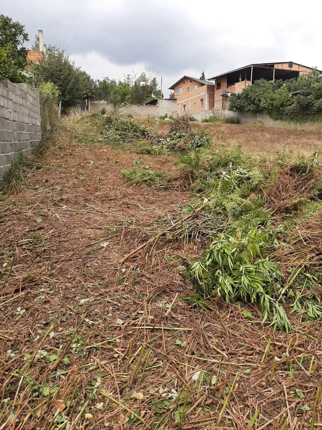 زمین با کاربری مسکونی|فروش زمین و ملک کلنگی|پایین هولار, |دیوار