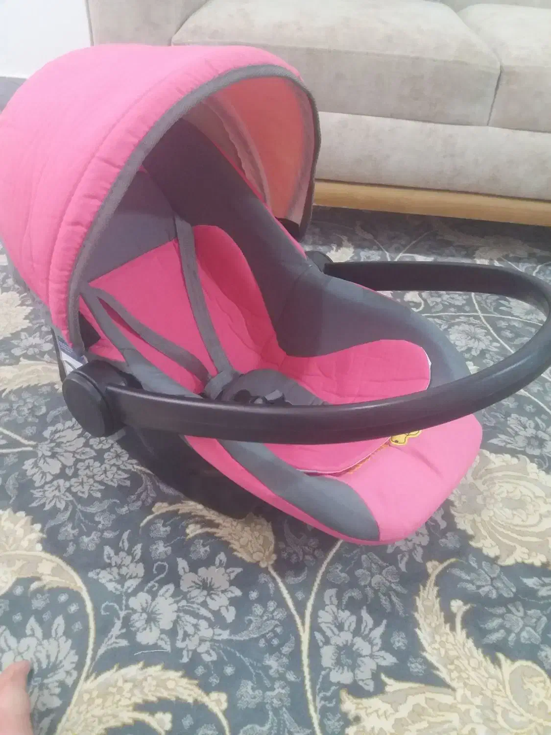 کریر نونو|کالسکه و لوازم جانبی|الشتر, |دیوار